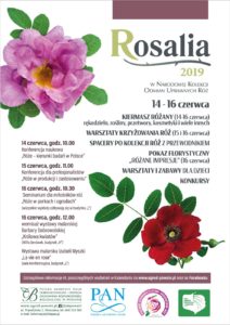 Plakat - Rosalia 2019